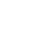 Icon18